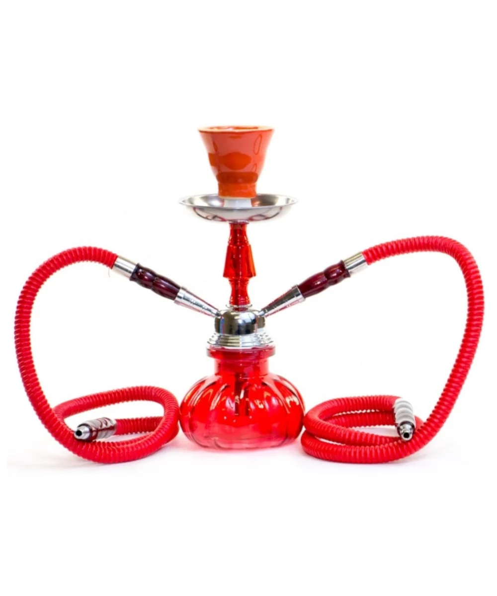 10" Double Hose Hookah - Image 2