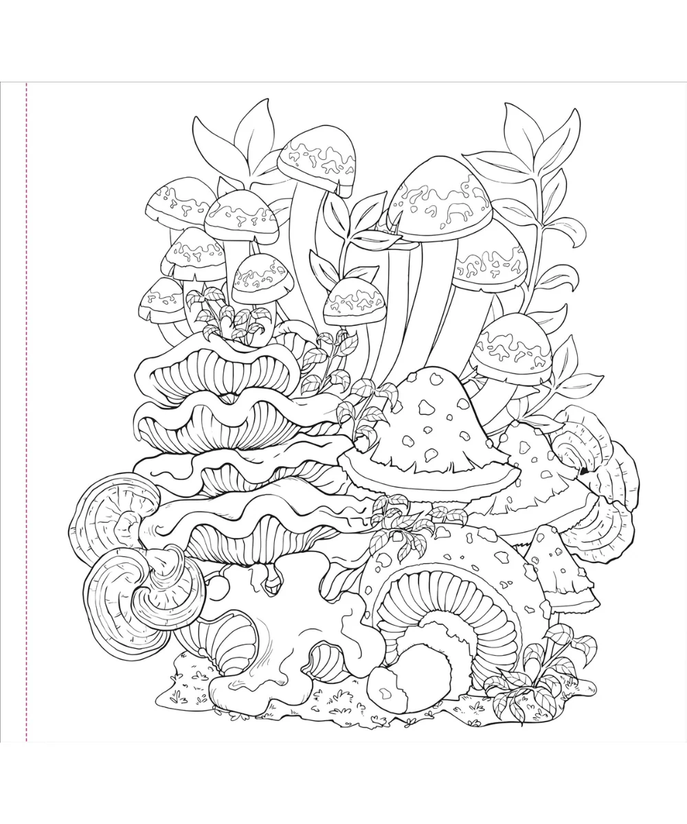 Mushroom Artist's Colouring Book - Image 4
